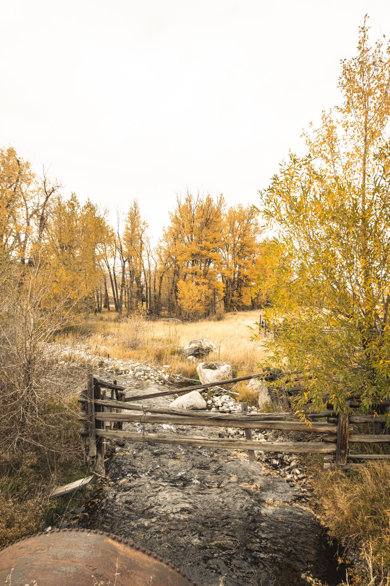 Six Mile Creek winding through cottonwoods